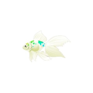 Aquamarine Veiltail